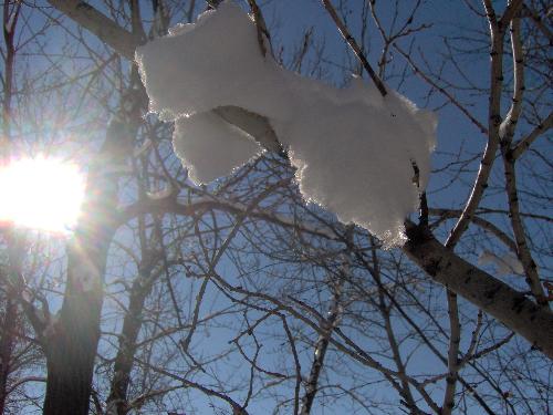 the last snow... - The Spring sun is putting the final touches on the end of winter.