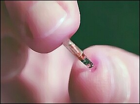 human microchip - human microchip hold in hand