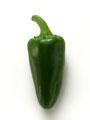 Jalepeno pepper - This is a pepper Jalepeno pepper - This is a pepper