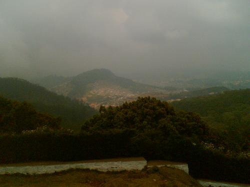 nature - check it out..