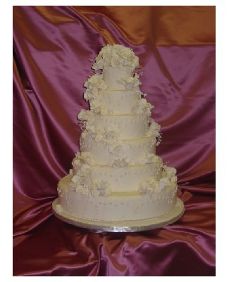 Got Married - Wow! That is a nice cake! I bet its yummy too!