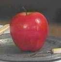 Apple - A red delicious apple