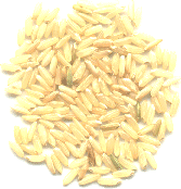 yellow rice - this is the best rice