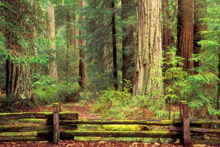 california - california - scenic wallaper