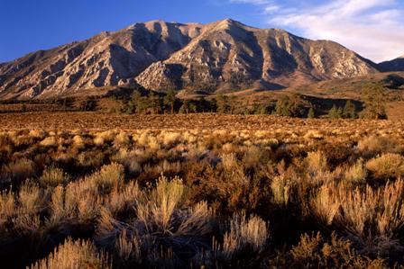 california - california - scenic wallaper