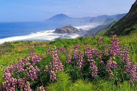california - california - scenic wallaper