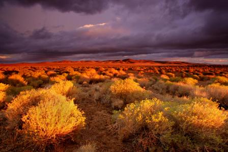 california - california - scenic wallaper