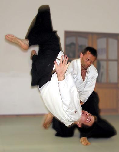 Martial Arts - This is an image portraying Aikido.