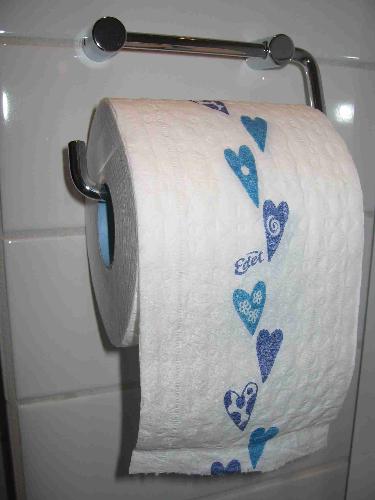 Roll of Toilet Paper - Usage? Roll of Toilet Paper - Usage?