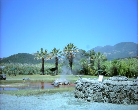 Old Faithful - CAlifornian Geyser, Sonoma County