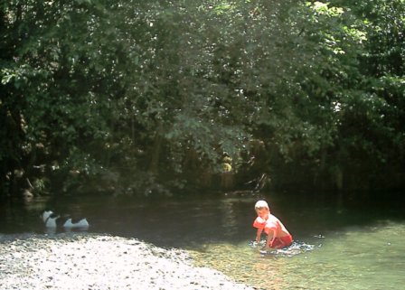 Gualala - Buckeye Creek