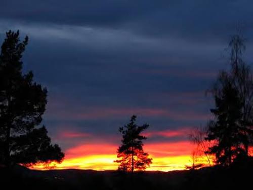 taken near my home near sunset - my home