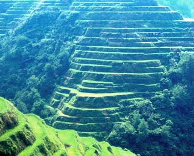 Banaue rice terraces, Philippines  - Dubbed as the 'Eight Wonder of the world,' the banaue rice terraces start from the base of the mountain range and reach up to several thousand feet high. It is said that thier lenght put end to end, would circle half of the globe. Made 2000 yaers ago, these rice terraces manifest the engineering skills and ingenuity of the sturdy ifugao. Steams and springs found in the mountains were tapped and channeled into irrigation canals that run downhill through the rice terraces.