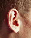Listening - A picture of an ear actively listening at something..