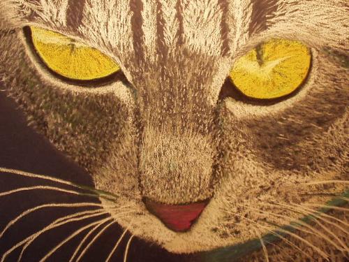 Bird Watcher - I enjoy painting animals, wild and domestic. This one was really fun to do. It is on dark blue ["midnight"] Canson paper.