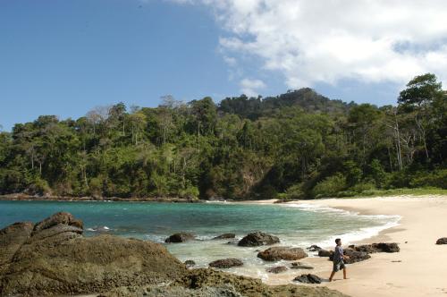 Meru Betiri Reserve - Meru Betiri (Game) Reserve is one of the remaining jungles in Java island. Belivably also where the last Javan Tiger is still around (never proced, tough). It's located at the south of Banyuwangi - East Java. The picture shows 'Teluk Hijau' (green bay) beach located inside Meru Betiri where accessed only by hiking a hill in front if it or by traditional boat from nearby villages that takes about 30 minutes cruising the rudge Indonesian ocean. This is absolutely remote beach with beautiful views surrounding of Meru Betiri. My experience, been travel many places in Java, says that this is the most beautiful beach in Java. Too bad that it was not in a sunny day that may enhance the beach in more impressed view.