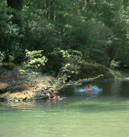 Gualala - Buckeye Creek