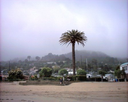 Sausalito - Marin County