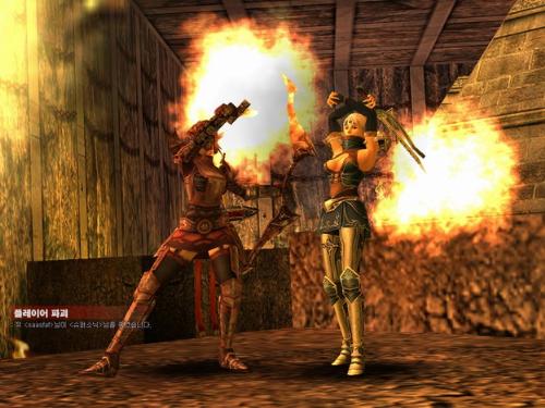 Rakion - Rakion, Chaos Force. A online game, very good interactivity and it depends on the users skills to be the best here.
