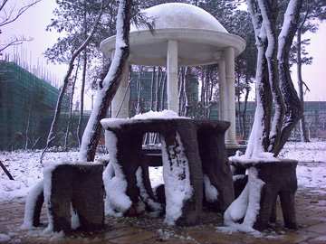a surprising view -   one day when i got up ,finding this scene. at my school it is very little to show.so ,that day everyone went out to play the snow.  make a showman,throw the snow,and so on. and i was watching the scene.it is a so comfortable day.