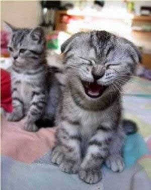 life - Always smile even if you are not feeling like it.