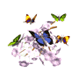 butterfly - fly fly fly the butterfly