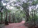 Stopping by the Woods on a Lovely Evening - Appreciate life