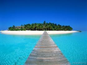 maldives - beach resort