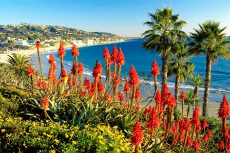 california - california - a pretty poster