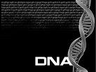* - Picture depicting the DNA ladder/sequence..