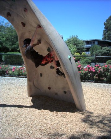 Corte Madera Park Rock Climbing - Marin County