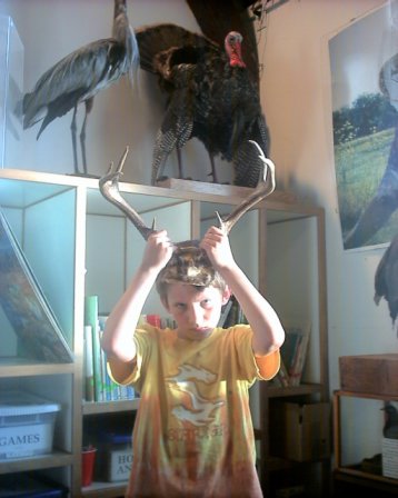 Terwilliger Wildcare center - Marin County