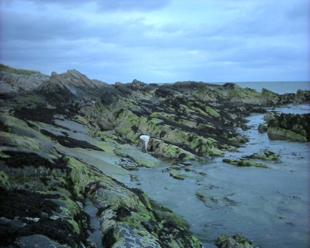 North County Dublin - Some of our spectacular coastline!