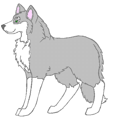 Cartoon Siberian - A very well done animation of a Siberian Husky.