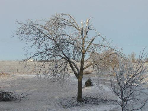 Nebraska Ice storm - Nebraska Ice storm photo.