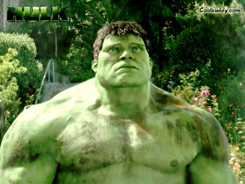 The hulk - A picture of the movie the hulk  starring eric bana