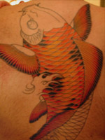 progress - koi tattoo in progress