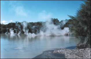 new zealand - rotorua