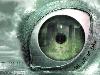 ~~*~~ - what do eye see~?