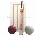 cricket - cricket is my favourite out door game ,i like cricket both in playing or in watching. it is very wonderful game.