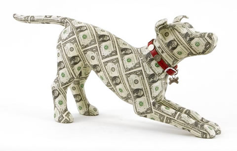 Money Dog - Now this is trule man's best friend!