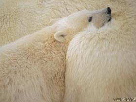 snuggle - snuggling,,,,one thing i really love