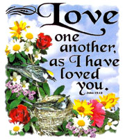 Love - an image of a scripture to love one another Love - an image of a scripture to love one another
