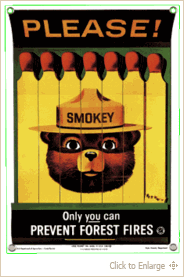 Smokey Bear - smokey the bear