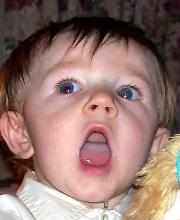 My grandson, Caleb - A picture of my grandson Caleb, at Christmas 'singing' to a toy dog. Actually going through movement just no sound.