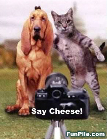 Say Cheeese - Photo Session