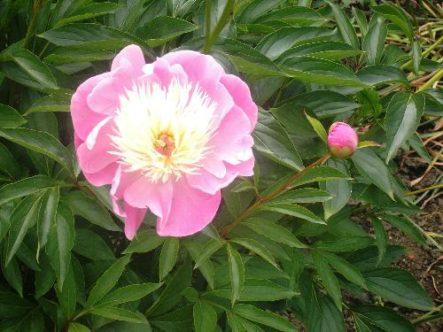 Spring is in the air - Springtime