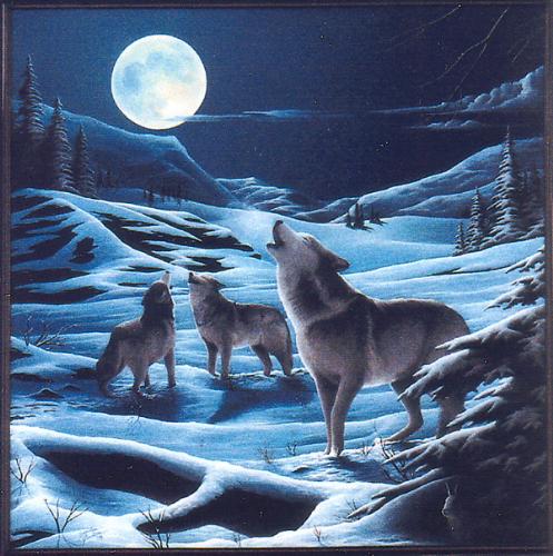 Wolves - Blue Wolves