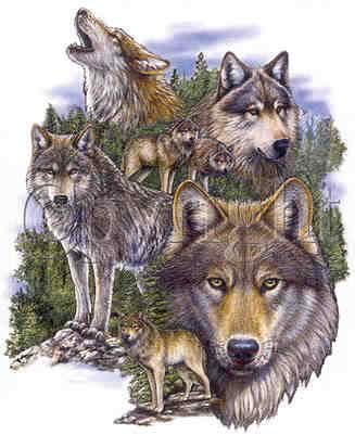 Wolves  - Wolves Stacked