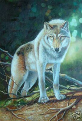 Wolf - Old Avatar Wolf